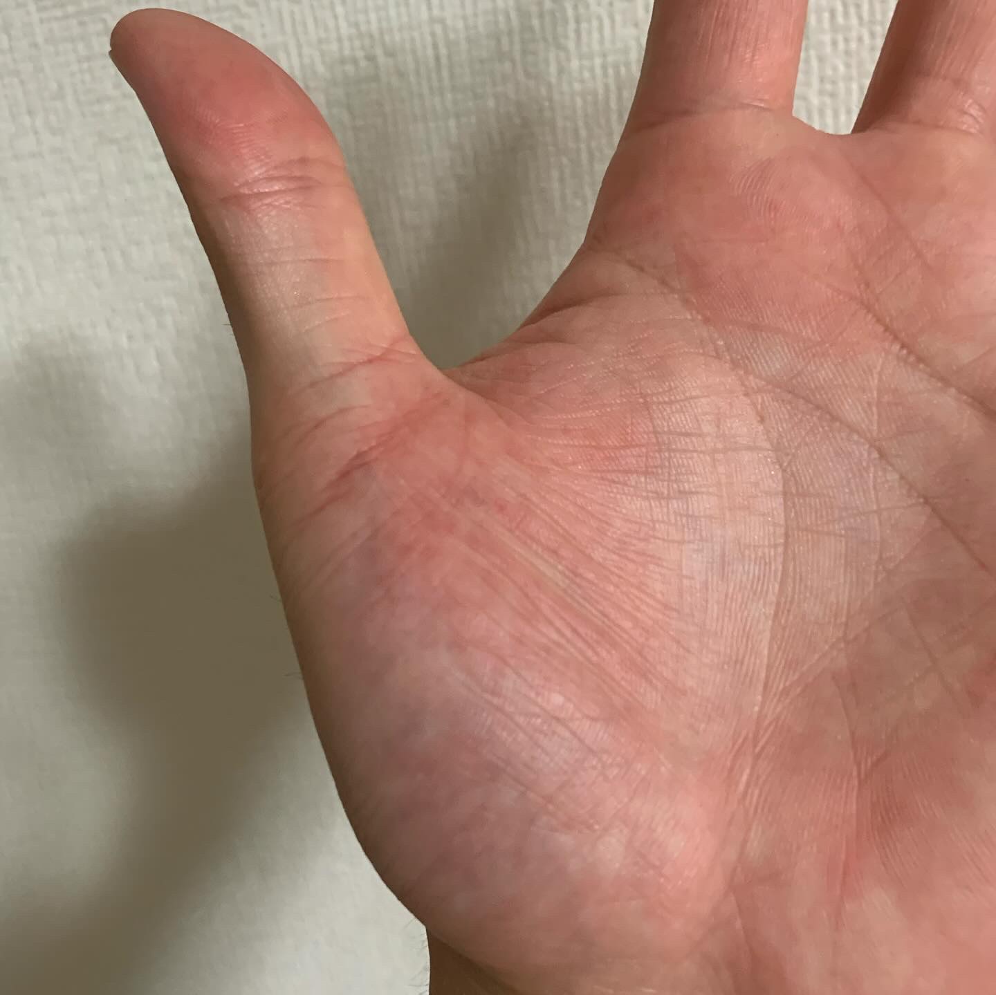 ドラマティックエッセンスクッション グロウ/マキアージュ/クッションファンデーションを使ったクチコミ（3枚目）