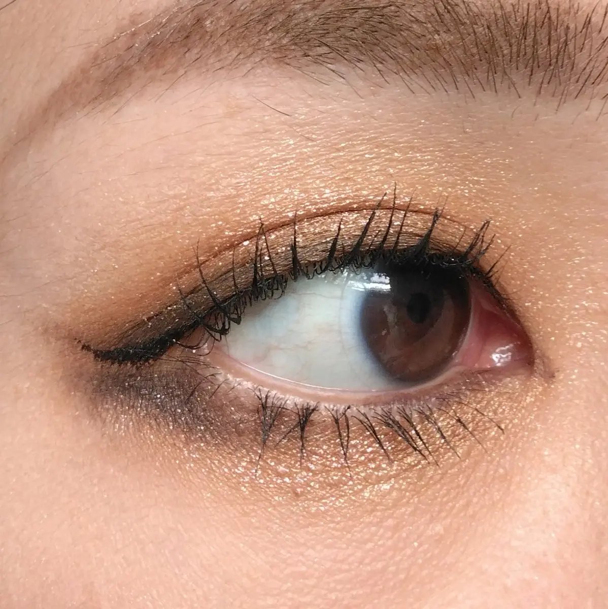 エンバー ライツ アイシャドウ パレット/BOBBI BROWN/アイシャドウパレットを使ったクチコミ（3枚目）