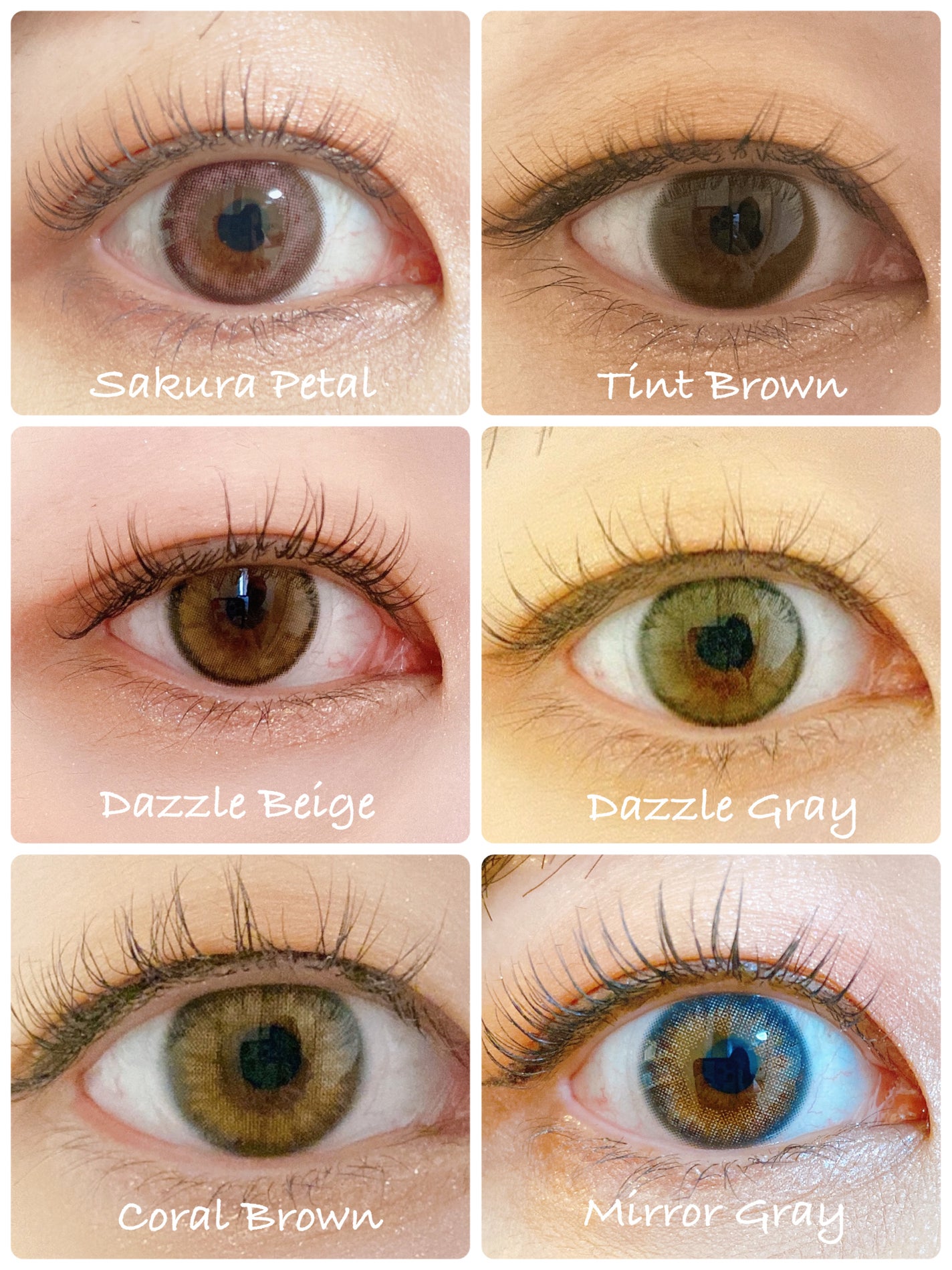 MOLAK 1day/MOLAK/ワンデー(1DAY)カラコンを使ったクチコミ(4枚目)