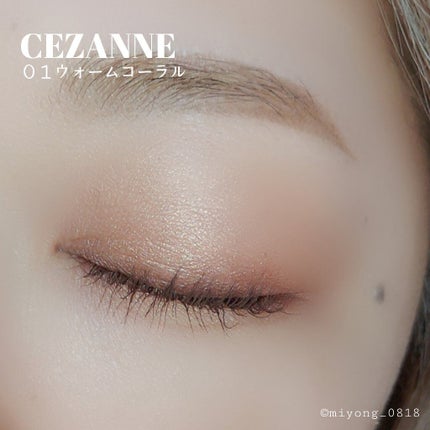 ニュアンスオンアイシャドウ/CEZANNE/アイシャドウパレットを使ったクチコミ(6枚目)