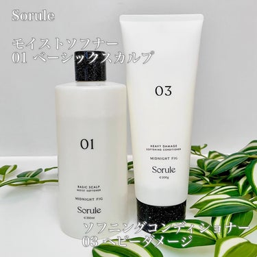 モイストソフナー 01ベーシックスカルプ 350ml/Sorule/シャンプー・コンディショナーを使ったクチコミ（2枚目）