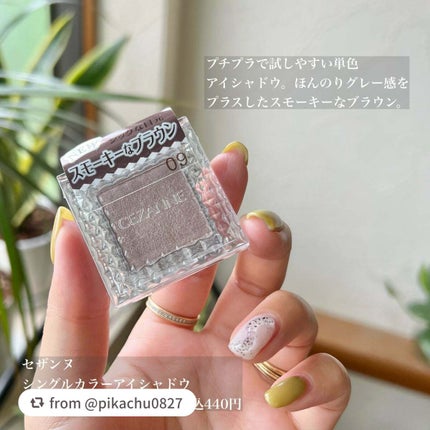 シングルカラーアイシャドウ/CEZANNE/単色アイシャドウを使ったクチコミ(2枚目)
