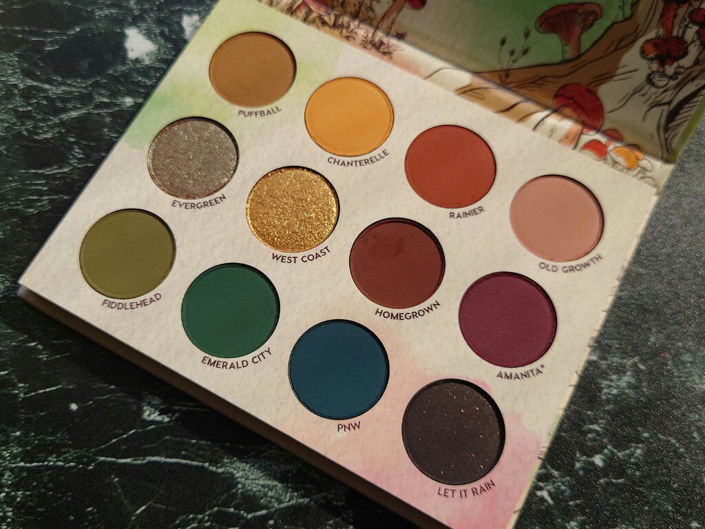 At Forest Sight/ColourPop/アイシャドウパレットを使ったクチコミ（3枚目）