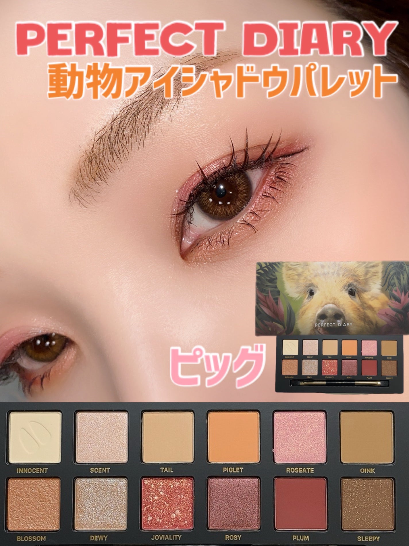 エクスプローラ12色 動物アイシャドウパレット/PERFECT DIARY/アイシャドウパレットを使ったクチコミ(1枚目)