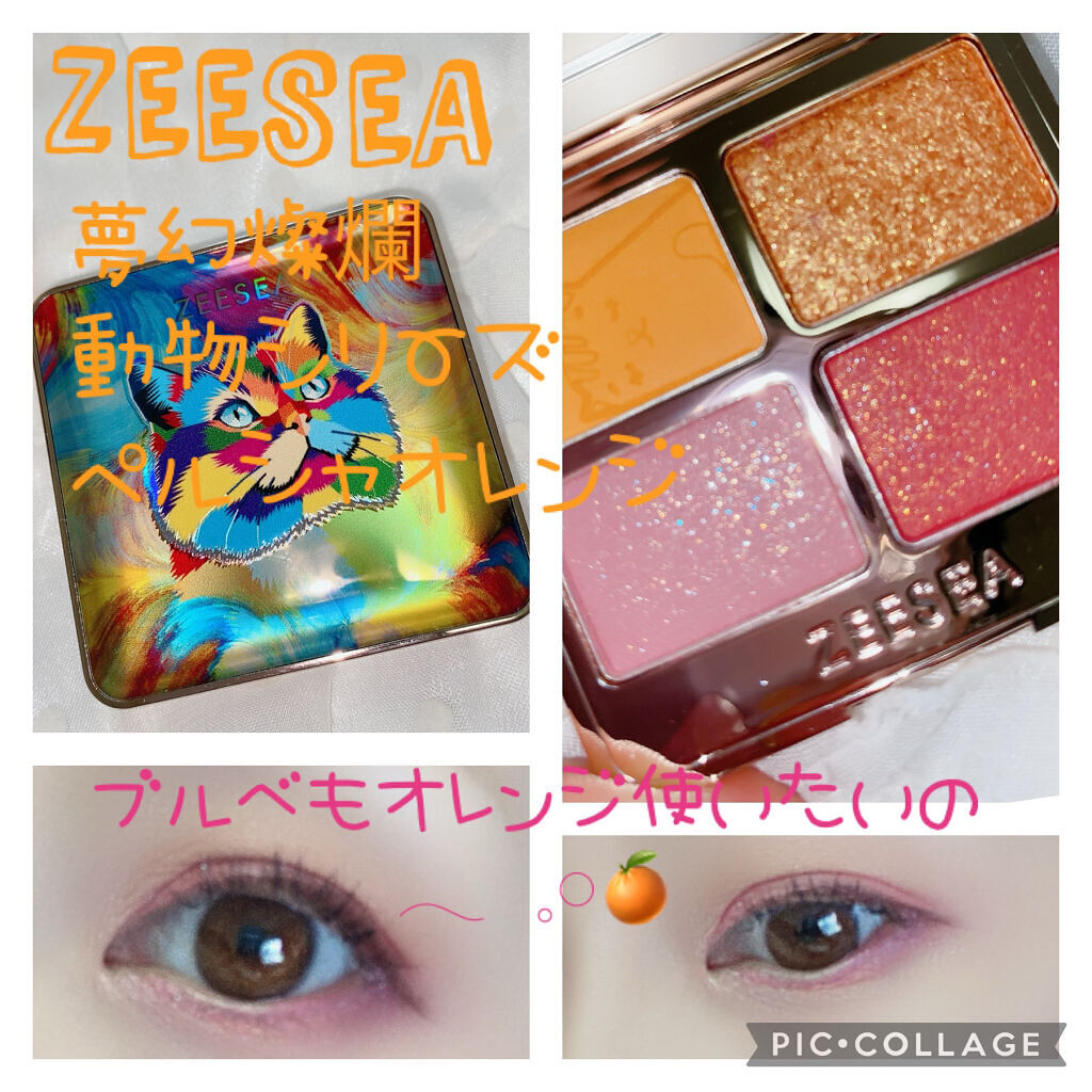 アニマルアイシャドウ(4シェード)/ZEESEA/アイシャドウパレットを使ったクチコミ（1枚目）