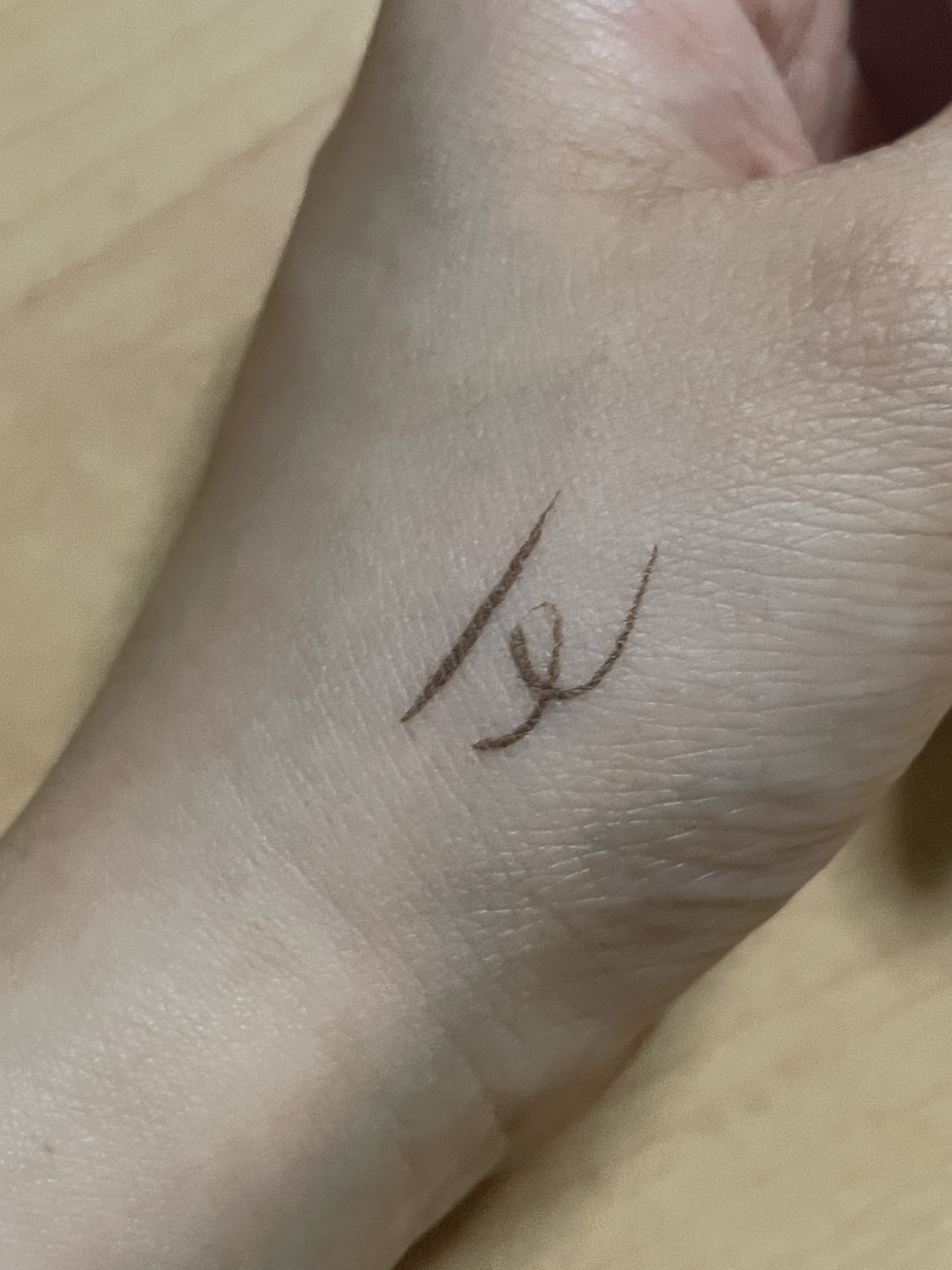 ラスティングリキッドライナー 05 グレージュ/キャンメイク/リキッドアイライナーを使ったクチコミ（3枚目）