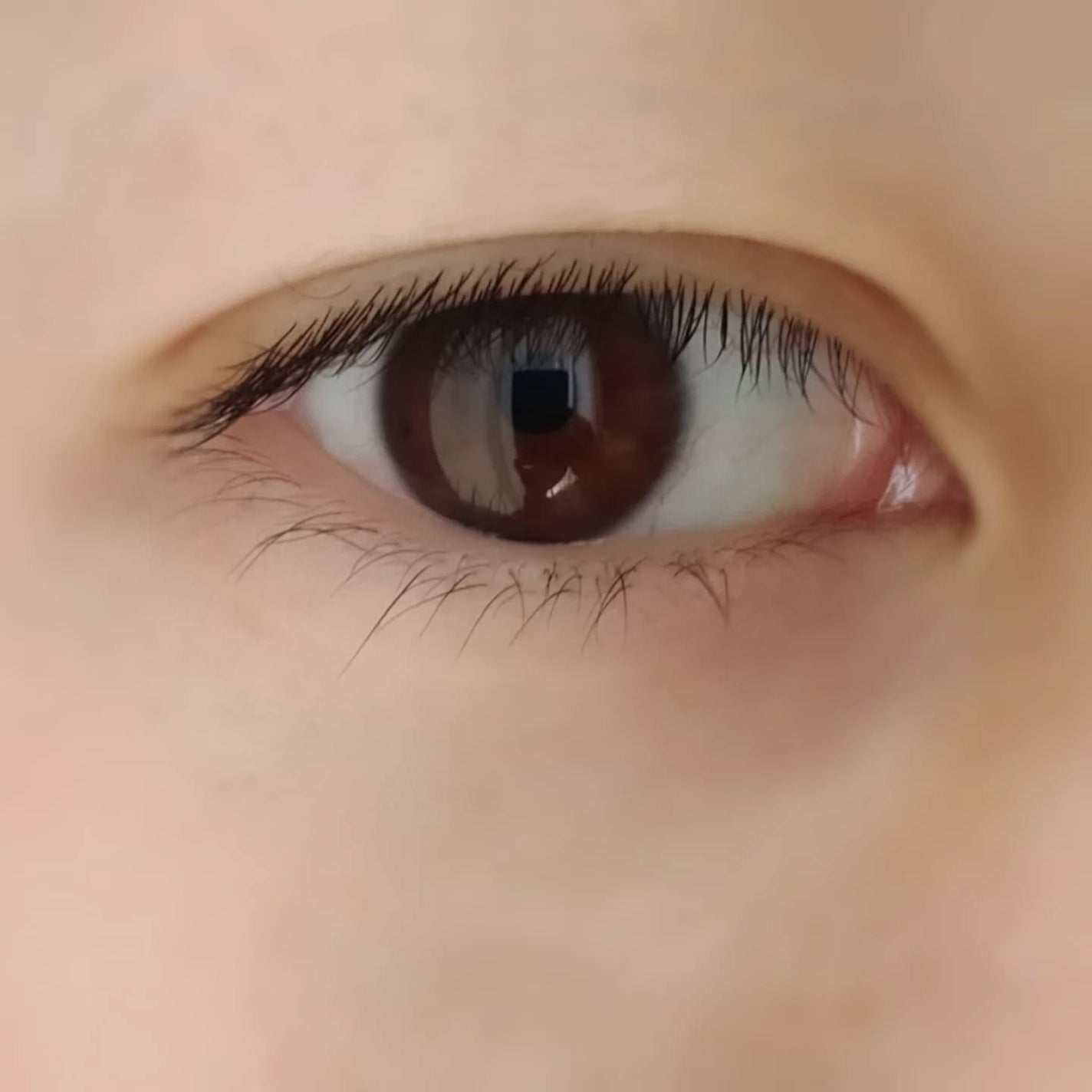 トランスダーマ ジ アイクリーム/トランスダーマ/アイケア・アイクリームを使ったクチコミ(9枚目)