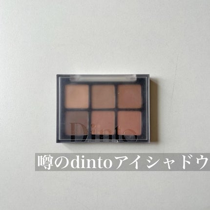 ブラーフィニシュシャドウパレット/Dinto/アイシャドウパレットを使ったクチコミ(1枚目)