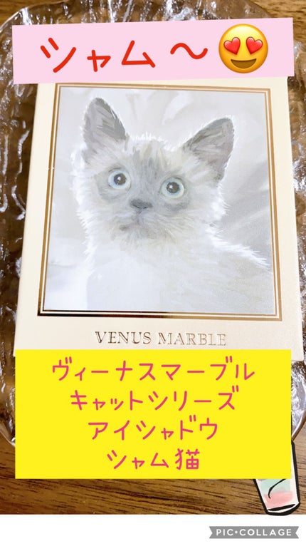 Venus Marble アイシャドウキャットシリーズ/Venus Marble/アイシャドウパレットを使ったクチコミ(1枚目)