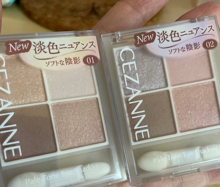 ペールトーンアイシャドウ/CEZANNE/アイシャドウを使ったクチコミ(2枚目)