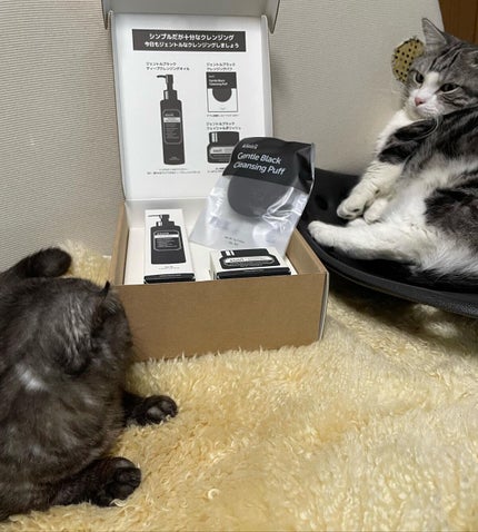 ジェントルブラックディープクレンジングオイル(150ml)/Klairs/オイルクレンジングを使ったクチコミ(2枚目)