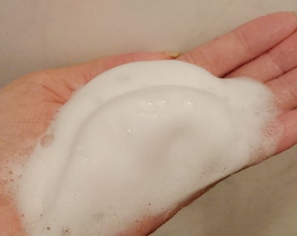 アーティウオッシュ/アンサージュ/洗顔フォームを使ったクチコミ(3枚目)