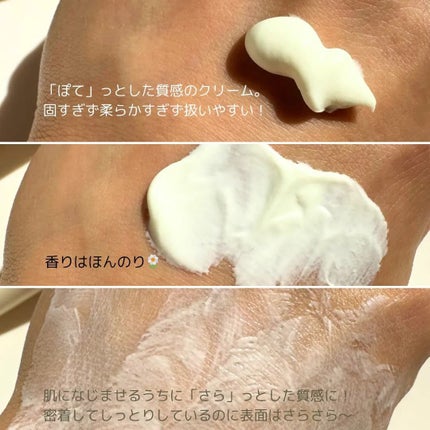 by365 パウダリーUVクリーム/ナリスアップ/日焼け止めクリームを使ったクチコミ(4枚目)