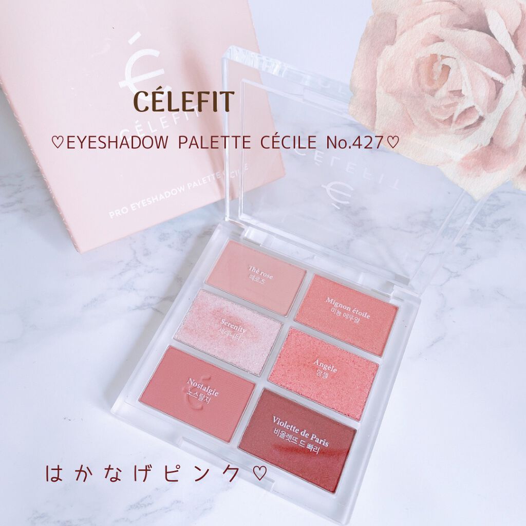 プロアイシャドウパレットセシル/CELEFIT/アイシャドウパレットを使ったクチコミ(1枚目)