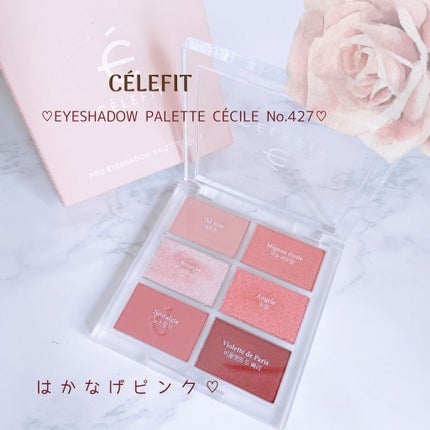 プロアイシャドウパレットセシル/CELEFIT/アイシャドウパレットを使ったクチコミ(1枚目)