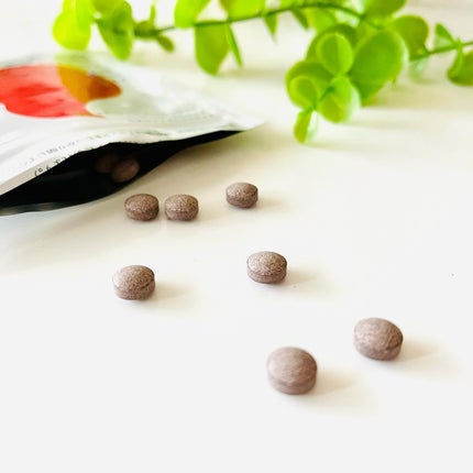 ã䜿ã£ãã¯ãã³ãïŒ2æç®ïŒ