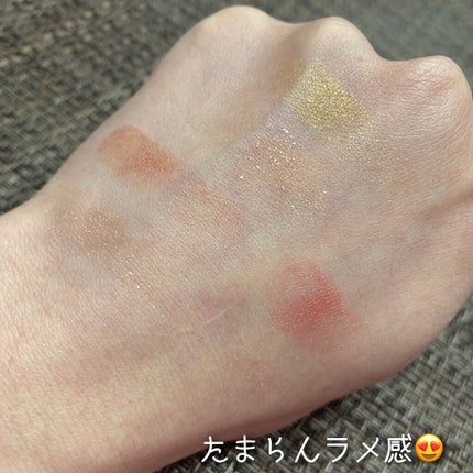 エレクトリックショックアイズ /KATE/アイシャドウパレットを使ったクチコミ(6枚目)