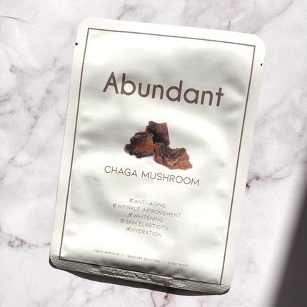 Abundant チャーガマッシュルームウォータージェルマスク