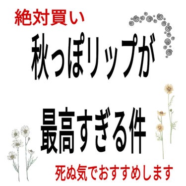 ラスティング リップカラーN/CEZANNE/口紅を使ったクチコミ（1枚目）