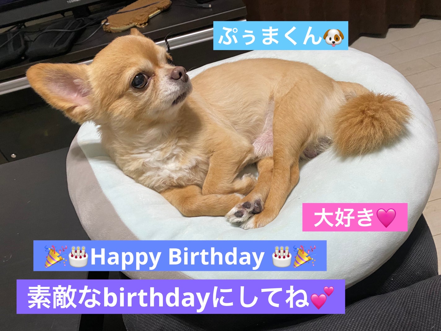 ディオール ヴェルニ/Dior/マニキュアを使ったクチコミ(6枚目)