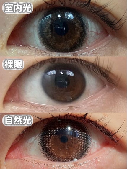 ramurie ラムリエ/ramurie/ワンデー(1DAY)カラコンを使ったクチコミ(4枚目)