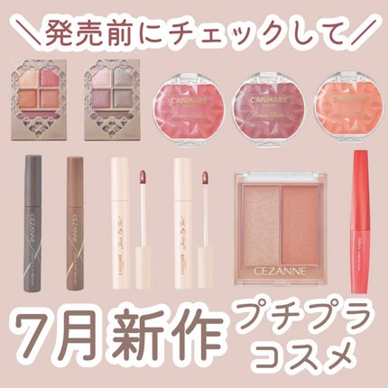 フォギーオンチークス N/Visée/パウダーチークを使ったクチコミ(1枚目)