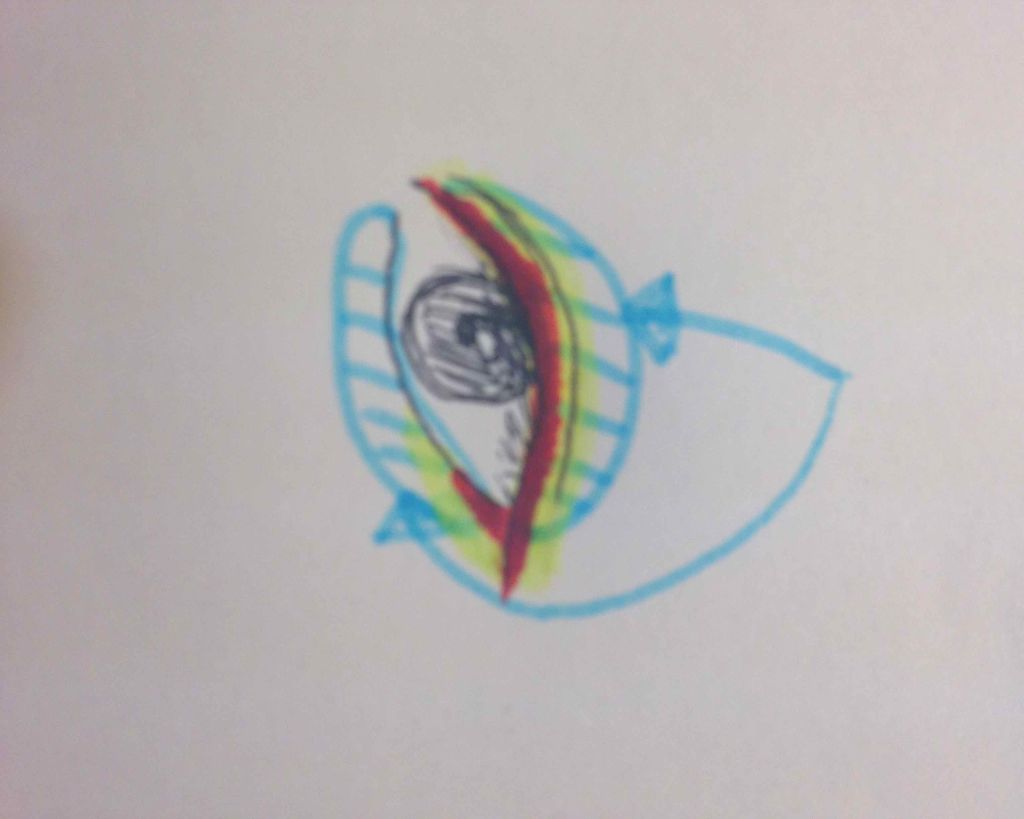 アイシャドウ デュオ PK ピンク/パラドゥ/アイシャドウパレットを使ったクチコミ（3枚目）