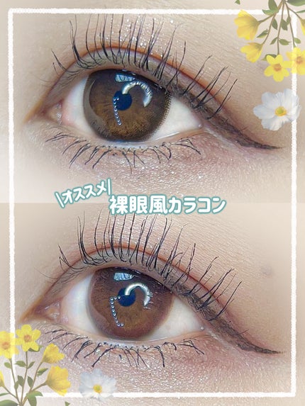 ネオサイトワンデー リングUV/Aire/ワンデー(1DAY)カラコンを使ったクチコミ(1枚目)