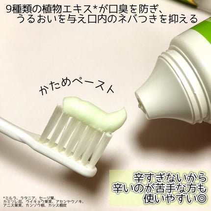 デンティス チューブタイプ/デンティス/歯磨き粉を使ったクチコミ(3枚目)