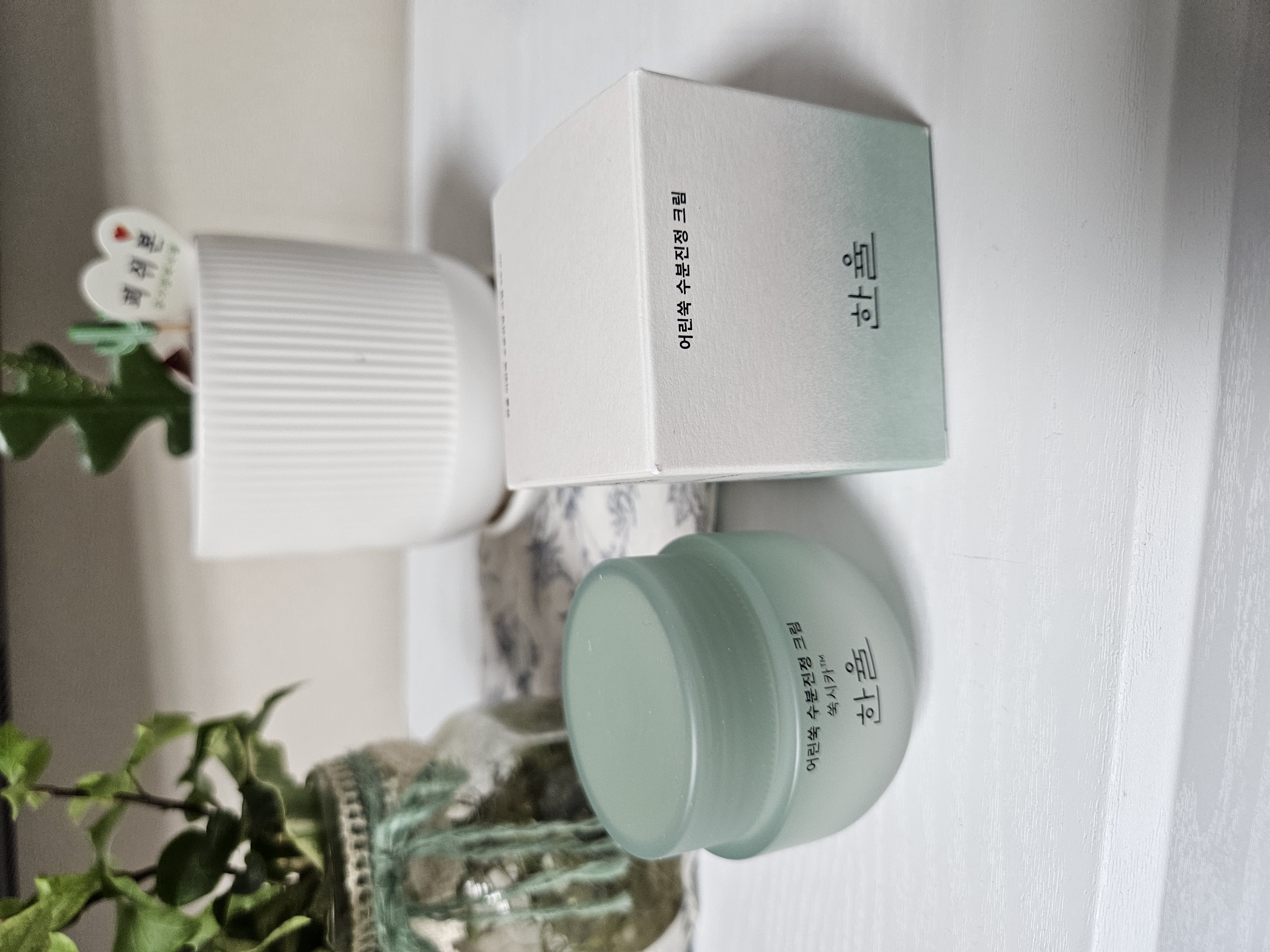 ピュアアルテミシア カーミングウォータークリーム/HANYUL(ハンユル)/フェイスクリームを使ったクチコミ（1枚目）