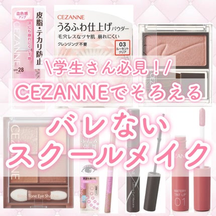 ビタートーンアイシャドウ/CEZANNE/パウダーアイシャドウを使ったクチコミ(1枚目)