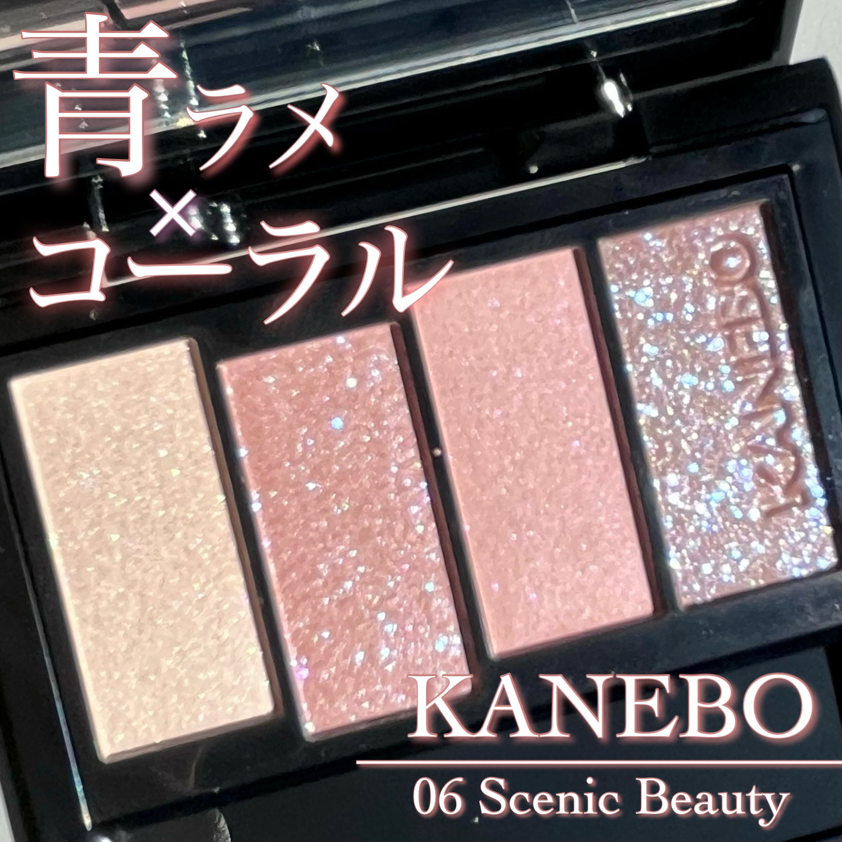 カラードシャドウ/KANEBO/アイシャドウパレットを使ったクチコミ（1枚目）