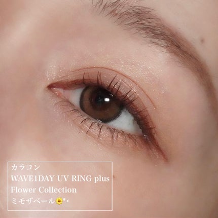 ジェルアイライナー/CEZANNE/ジェルアイライナーを使ったクチコミ(6枚目)