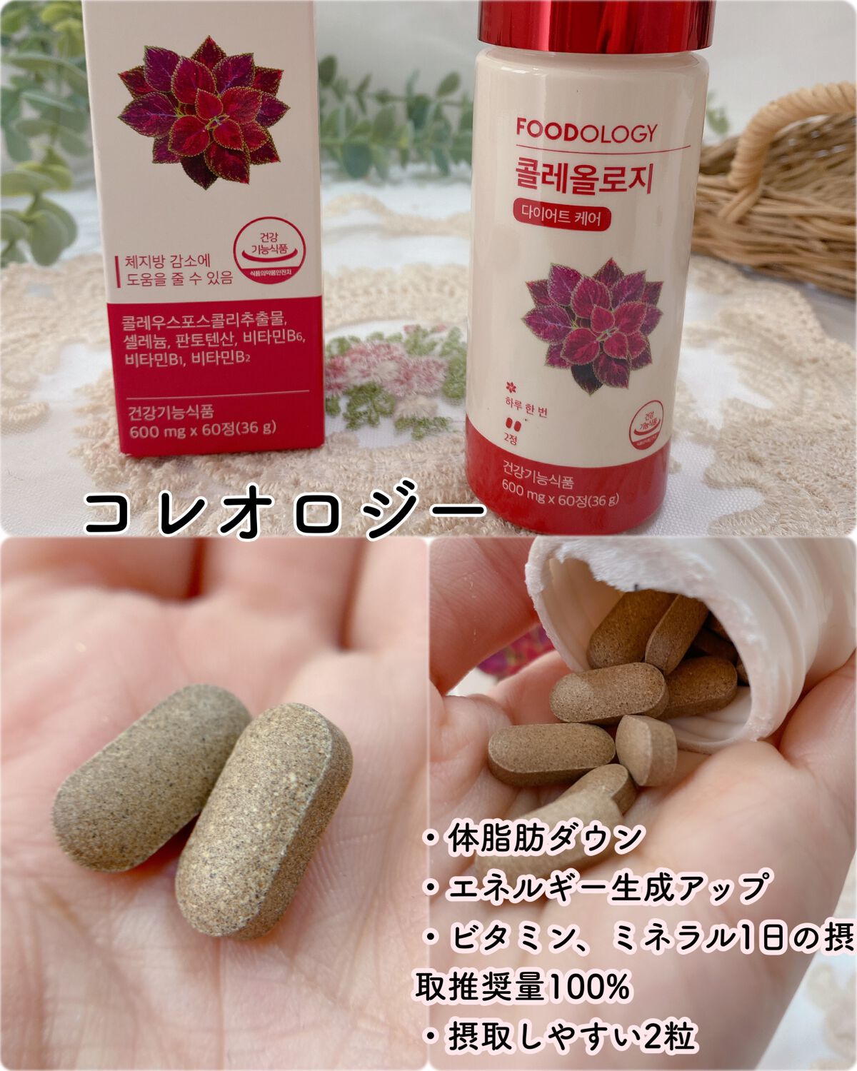 エミリー@フォロバ100 on LIPS 「FOODOLOGYコレオロジーコレオロジー茶マンオロジーカット..」(3枚目)