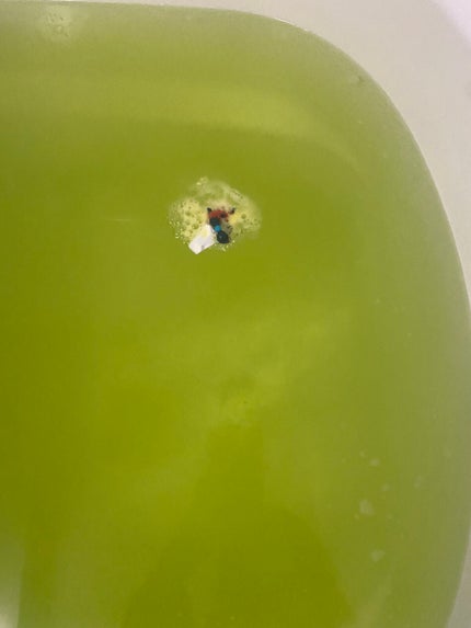 びっくらたまごDX ポケットモンスター/バンダイ/炭酸系入浴剤を使ったクチコミ(5枚目)