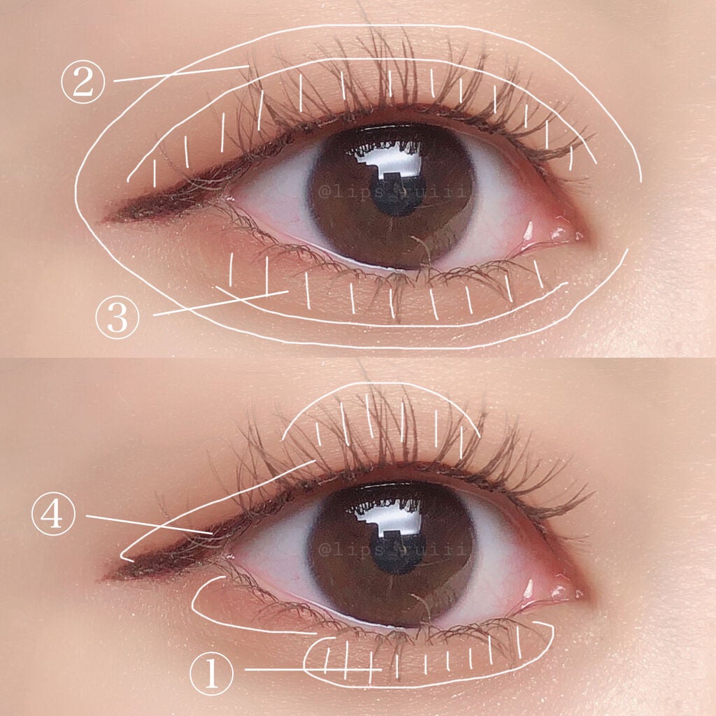 クイックラッシュカーラー/キャンメイク/マスカラ下地を使ったクチコミ(2枚目)