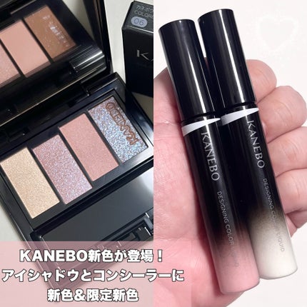 デザイニングカラーリクイド/KANEBO/リキッドコンシーラーを使ったクチコミ(2枚目)
