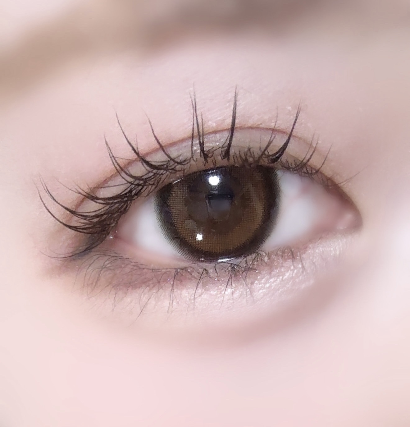 candymagic1day（キャンディーマジックワンデー） ミミブラウン/candy magic/ワンデー（１DAY）カラコンを使ったクチコミ（1枚目）