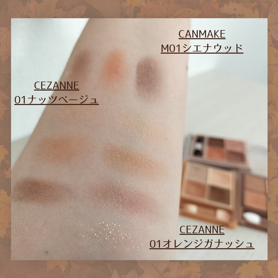 シルキースフレアイズ(マットタイプ)/キャンメイク/アイシャドウパレットを使ったクチコミ(4枚目)