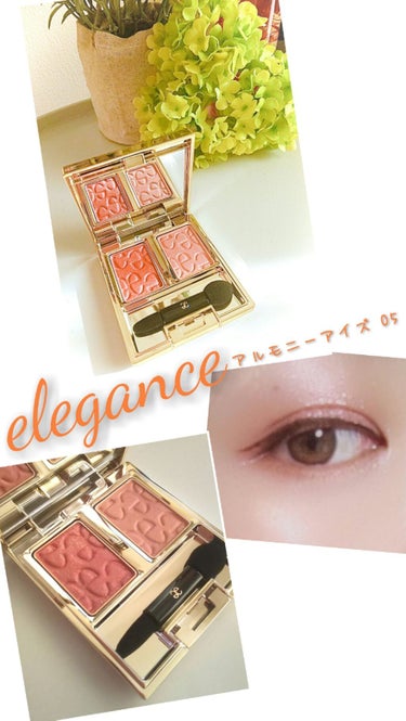 elegance   アルモニーアイズ 05♥️




eleganceでパウダーのアイシャドウは初めて✨

発売前から気になっていたのでお店に即go❕


カラーで悩んで無難なブラウンにしようかなと