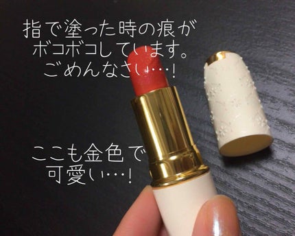 ラスティング リップカラーN/CEZANNE/口紅を使ったクチコミ(4枚目)