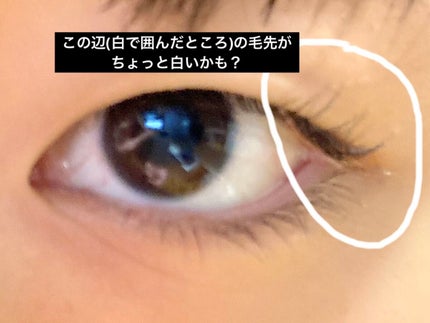 クイックラッシュカーラー/キャンメイク/マスカラ下地を使ったクチコミ(2枚目)