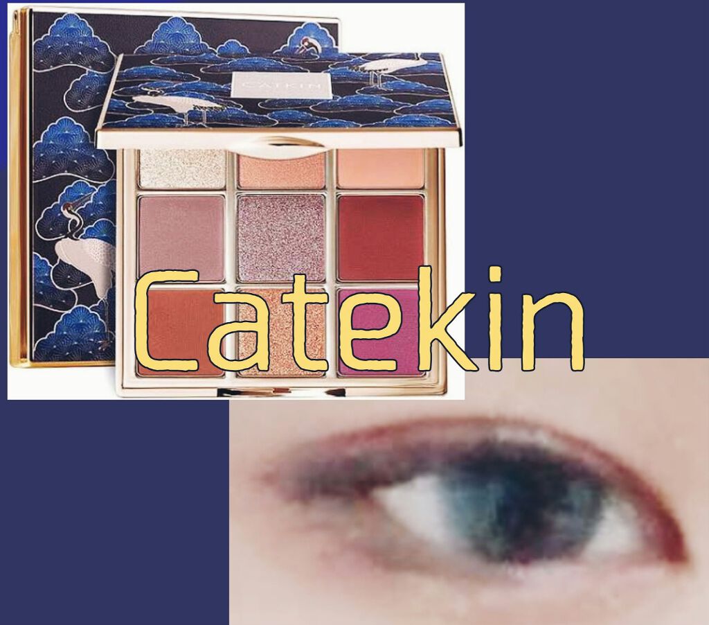 長相思シリーズ 9色アイシャドウパレット/CATKIN/アイシャドウパレットを使ったクチコミ(1枚目)