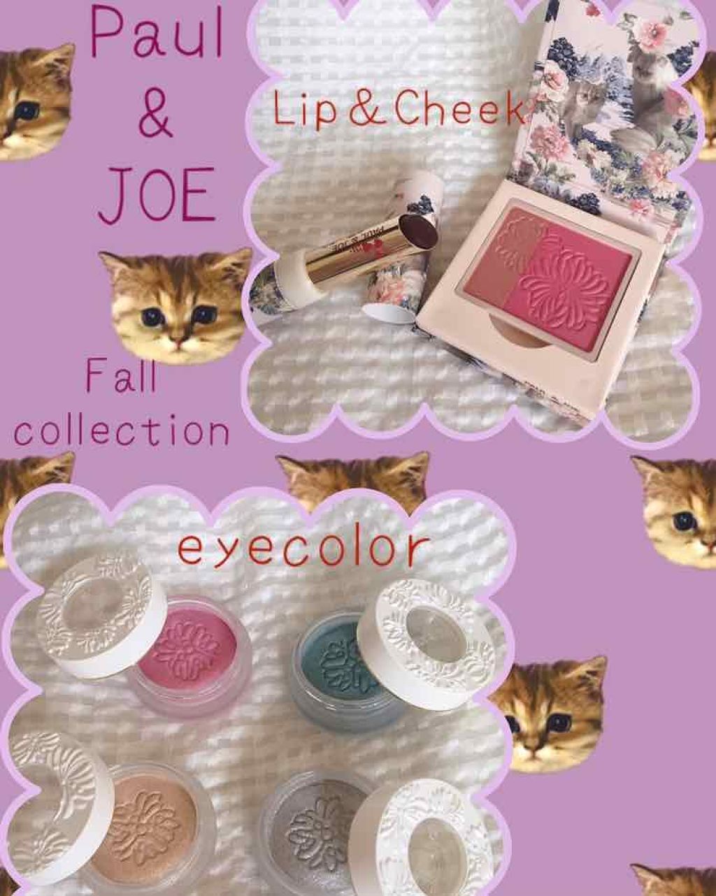 パウダー ブラッシュ/PAUL & JOE BEAUTE/パウダーチークを使ったクチコミ（1枚目）