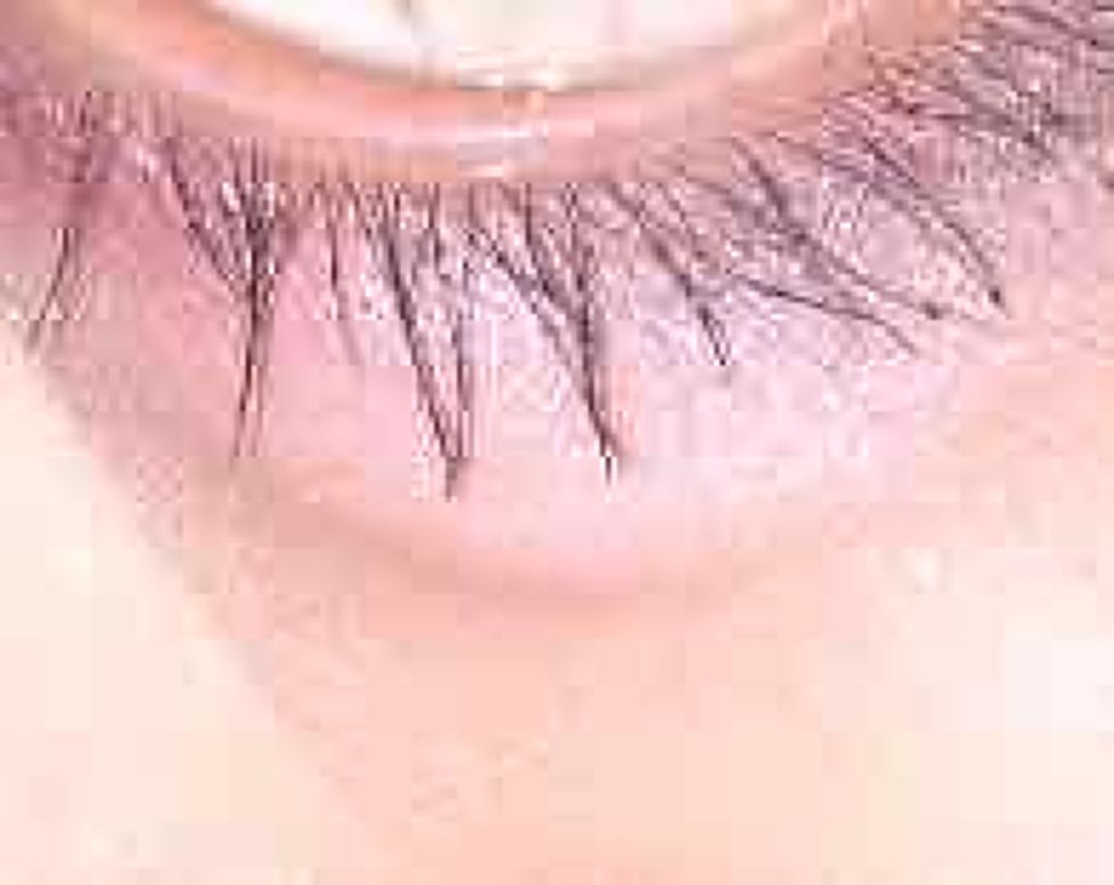 ラッシュエキスパンダー ロングロングロング/MAJOLICA MAJORCA/マスカラを使ったクチコミ(2枚目)