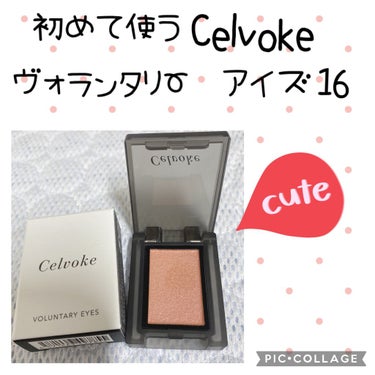 セルヴォーク ヴォランタリー アイズ 16 サーモンピンク/Celvoke/シングルアイシャドウを使ったクチコミ（2枚目）