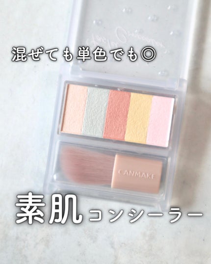 パステルヴェールコンシーラー/キャンメイク/パレットコンシーラーを使ったクチコミ(1枚目)