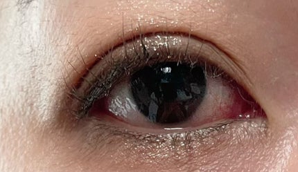 シャドウパレット/dasique/アイシャドウパレットを使ったクチコミ(1枚目)