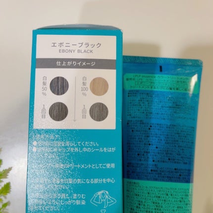 エッセンスカラートリートメント/LPLP(ルプルプ)/ヘアカラーを使ったクチコミ(3枚目)