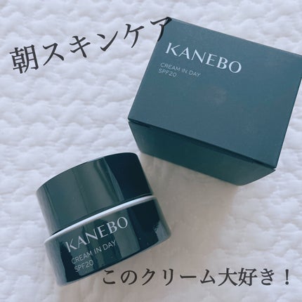 クリーム イン デイ/KANEBO/フェイスクリームを使ったクチコミ(1枚目)